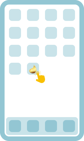 Adjust settings and install the app