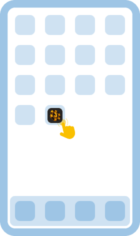 Install the application