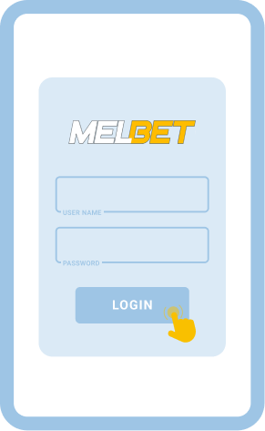 Enter your details and access account